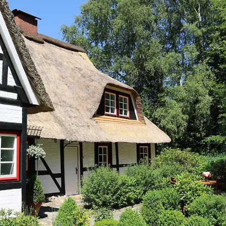 Modern Holiday In Near Baltic Sea With Sauna *